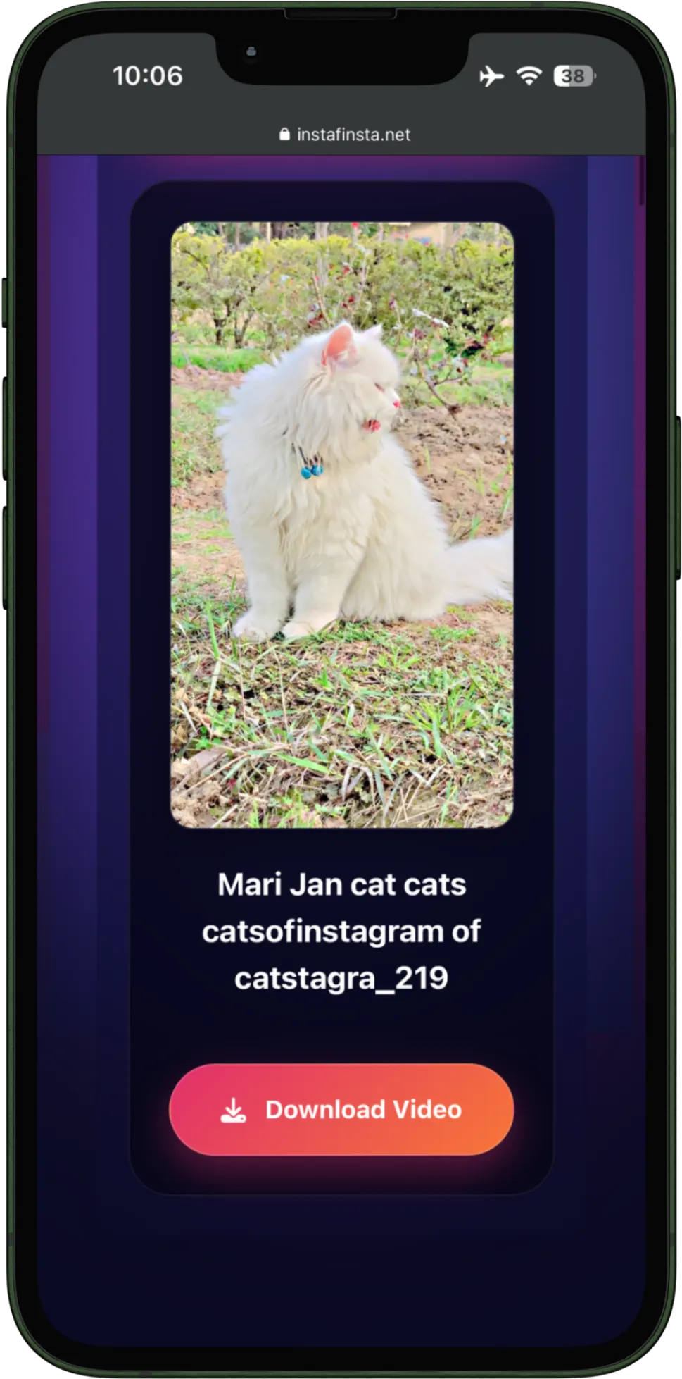 Instafinsta Download video